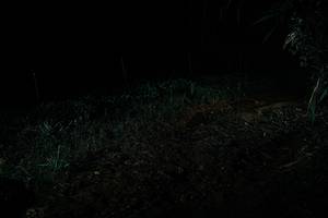 BIB: 
                            <button type="button" onclick="openModal(26102090)" class="btn btn-primary btn-sm float-right btn-popup" data-toggle="modal" data-target=".modal-high-quality">
                        <i class="fas fa-shopping-cart"></i> Add to Cart
                    </button>
                                            <button type="button" onclick="isThisMe(26102090, true)" class="btn btn-success btn-sm float-right btn-popup btn-isme hidden" data-toggle="tooltip" data-placement="bottom" title="นี่คือรูปของคุณใช่ไหม คลิกที่นี่เพื่อเอาเข้าอัลบั้ม">
                        <i class="fas fa-plus"></i> Add to album
                    </button>
                    <button type="button" onclick="isThisMe(26102090, false)" class="btn btn-warning btn-sm float-right btn-popup btn-isnotme hidden">
                        <i class="fas fa-ban"></i> Remove from album
                    </button>